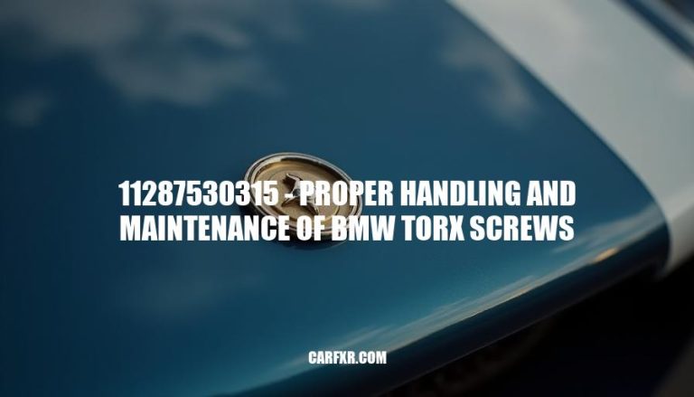 11287530315 - Proper Handling and Maintenance of BMW Torx Screws