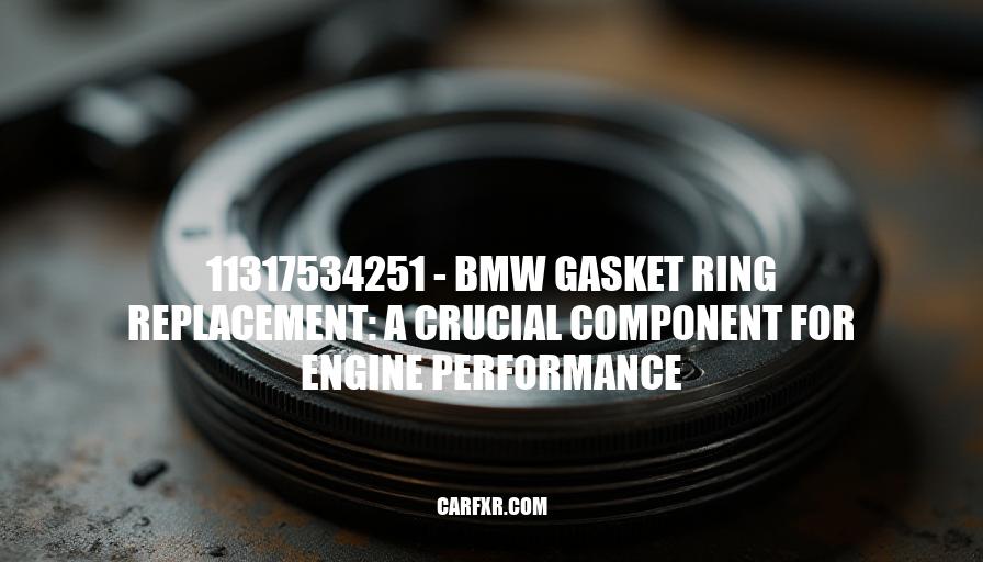 11317534251 - BMW Gasket Ring Replacement: A Crucial Component for Engine Performance