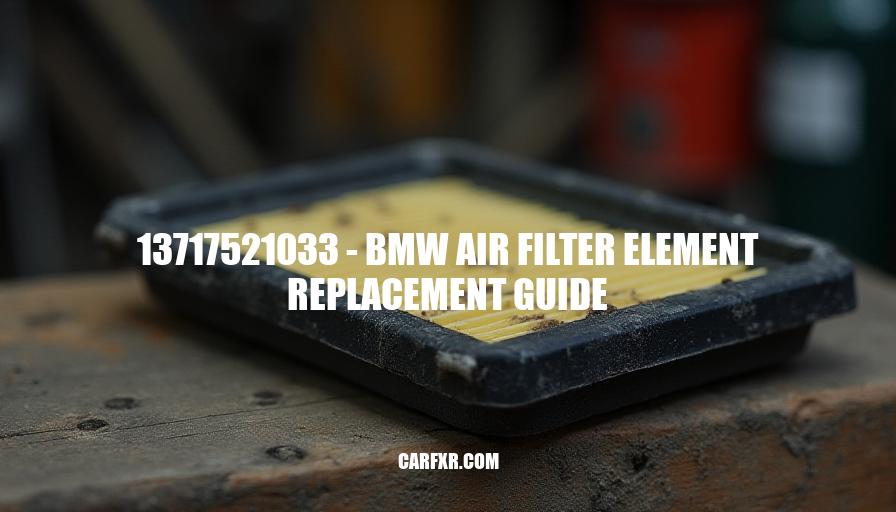 13717521033 - BMW Air Filter Element Replacement Guide