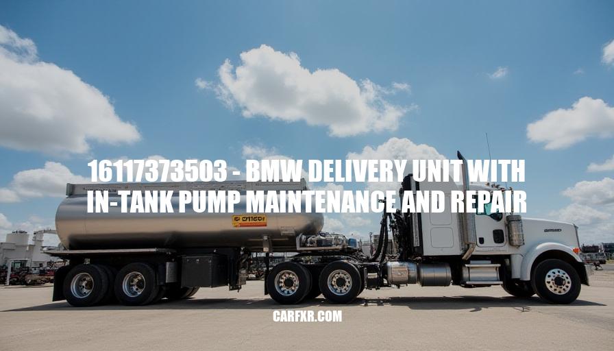 16117373503 - BMW Delivery Unit with In-Tank Pump Maintenance and Repair