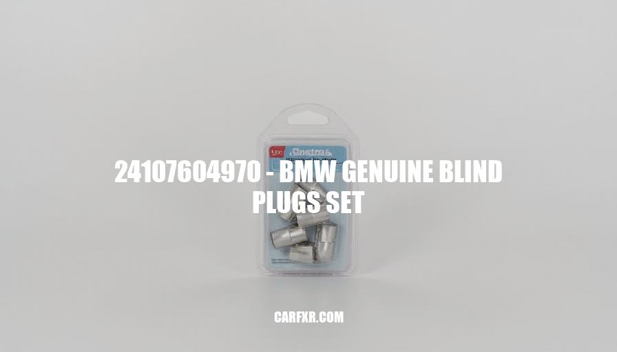 24107604970 - BMW Genuine Blind Plugs Set