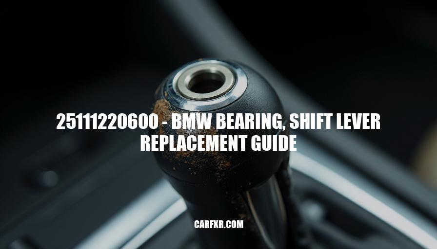 25111220600 - BMW Bearing, Shift Lever Replacement Guide