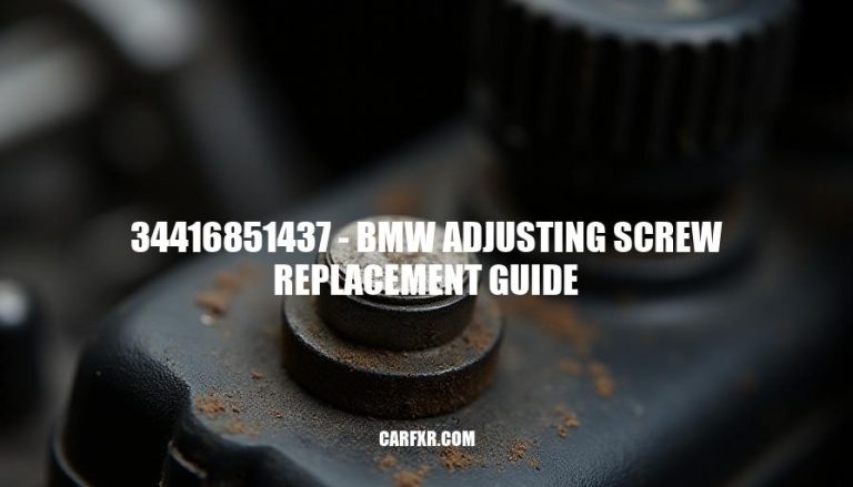 34416851437 - BMW Adjusting Screw Replacement Guide