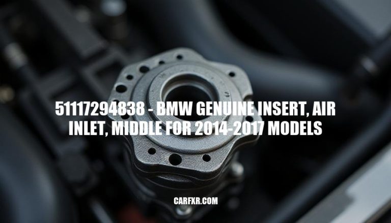 51117294838 - BMW Genuine Insert, Air Inlet, Middle for 2014-2017 Models