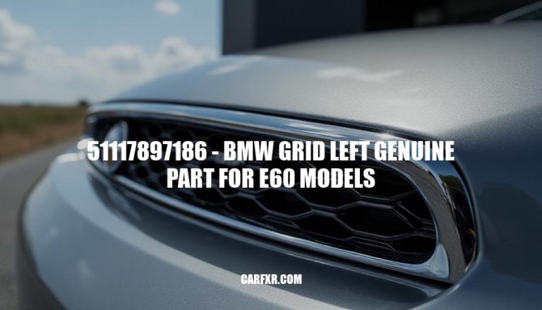 51117897186 - BMW Grid Left Genuine Part for E60 Models