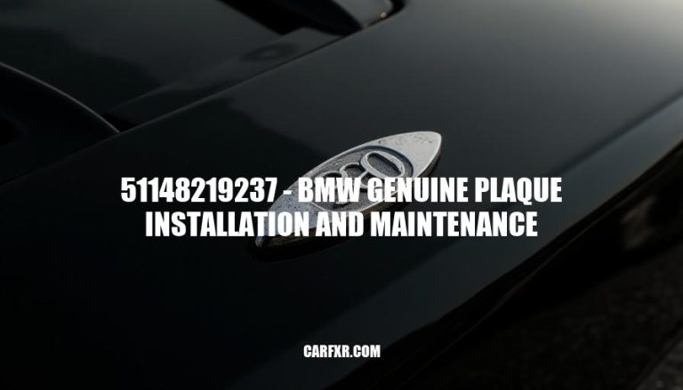 51148219237 - BMW Genuine Plaque Installation and Maintenance