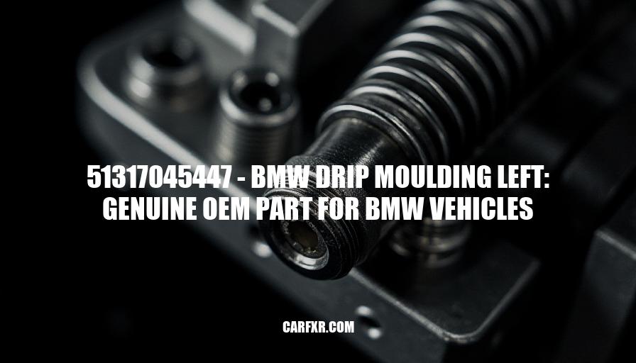 51317045447 - BMW Drip Moulding Left: Genuine OEM Part for BMW Vehicles