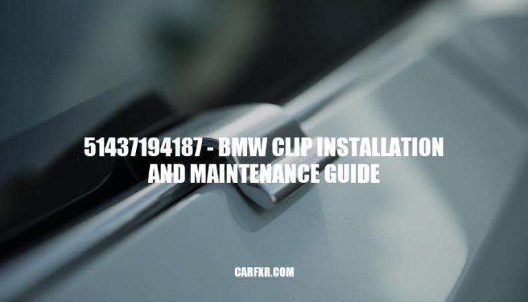 51437194187 - BMW Clip Installation and Maintenance Guide