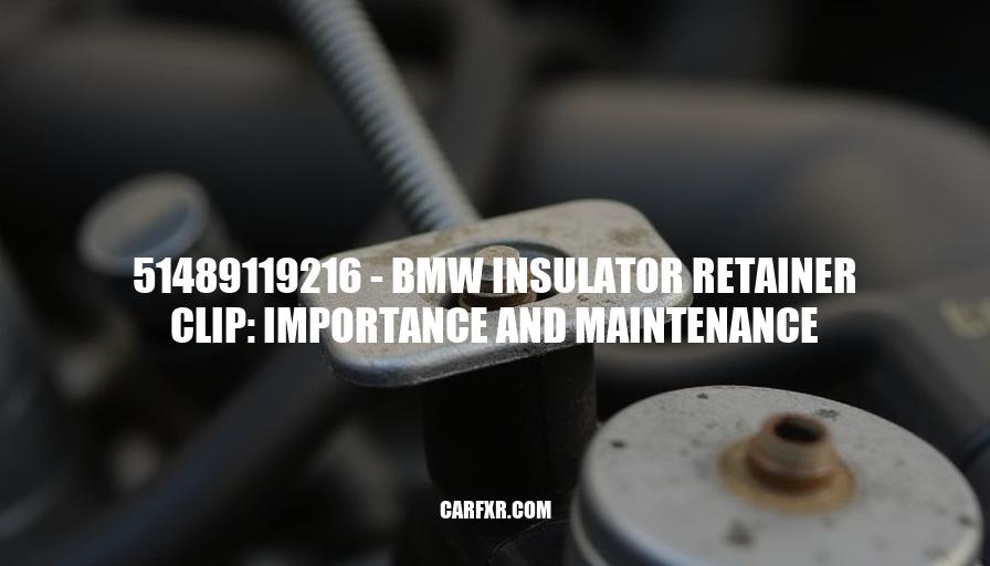 51489119216 - BMW Insulator Retainer Clip: Importance and Maintenance