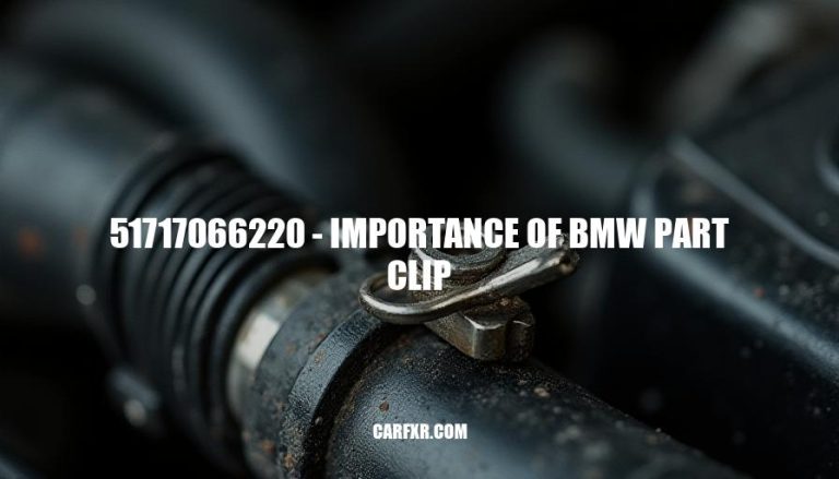 51717066220 - Importance of BMW Part Clip