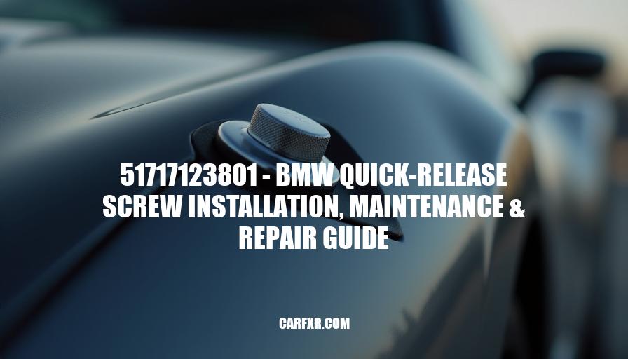 51717123801 - BMW Quick-Release Screw Installation, Maintenance & Repair Guide