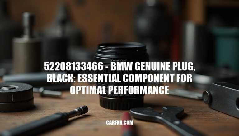 52208133466 - BMW Genuine Plug, Black: Essential Component for Optimal Performance