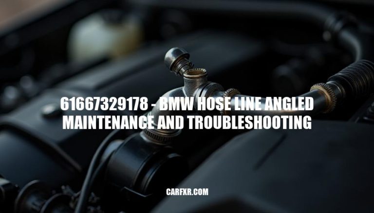 61667329178 - BMW Hose Line Angled Maintenance and Troubleshooting