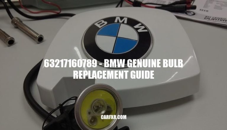 63217160789 - BMW Genuine Bulb Replacement Guide