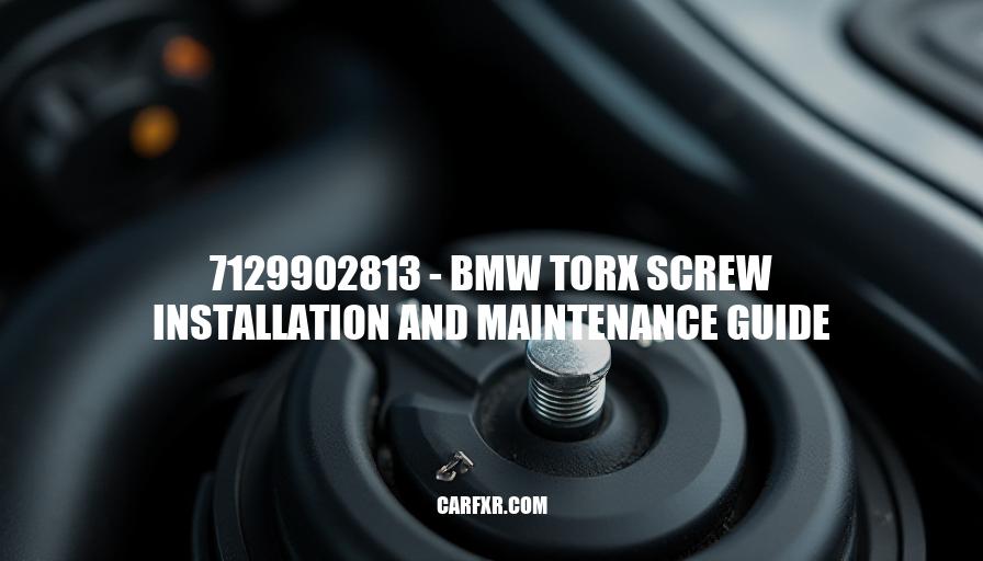 7129902813 - BMW Torx Screw Installation and Maintenance Guide