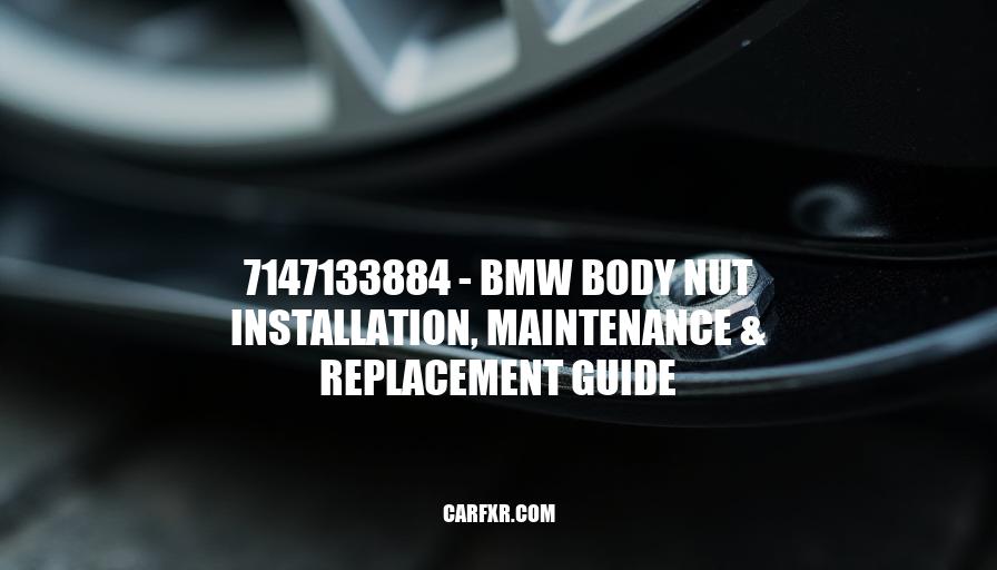 7147133884 - BMW Body Nut Installation, Maintenance & Replacement Guide